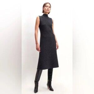 Everlane turtleneck sweater dress